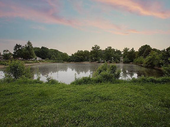 Pond