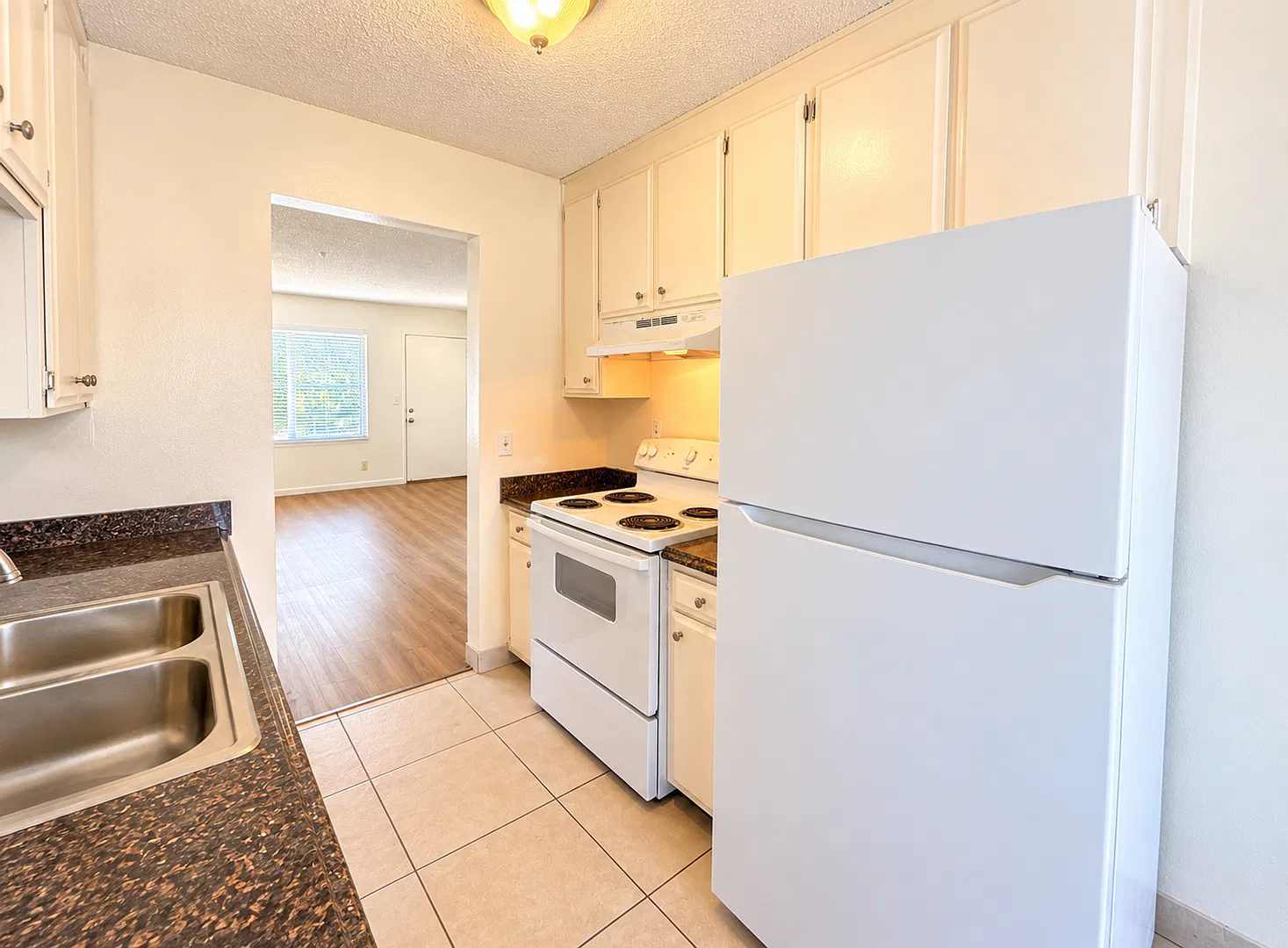Cozy 1-Bedroom Apartment in Santa Rosa — Photo 4