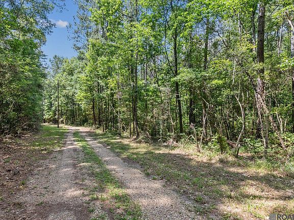 2nd image of LOT 1 Pace Rd