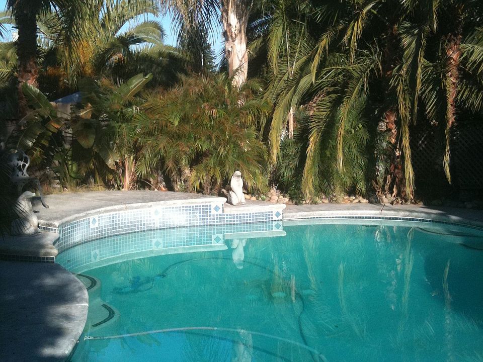 1st image of 1909 Buena Vista Dr