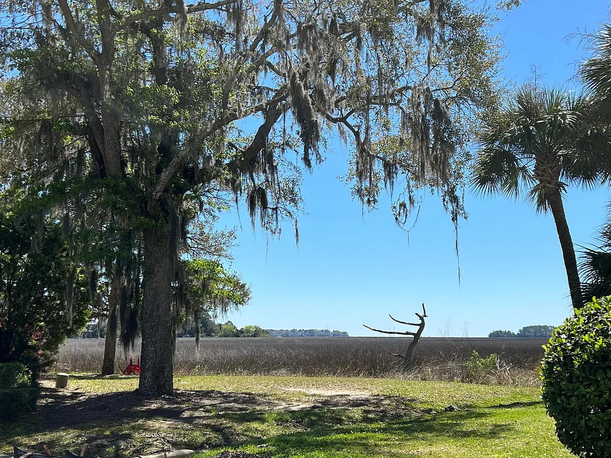 Beautiful marsh view - 41 Hidden Pointe Dr