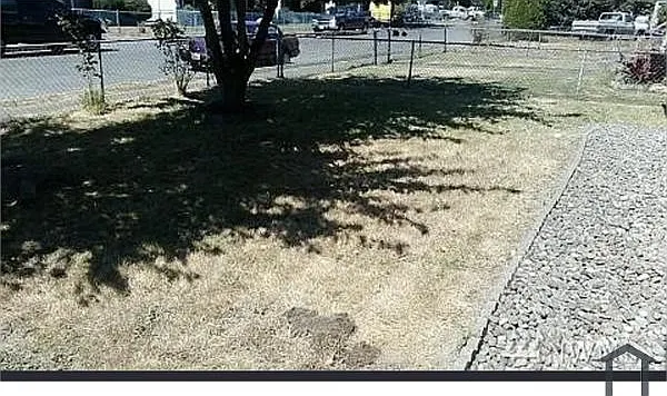 3 bed, 1000 sqft, $2,000 — Photo 3