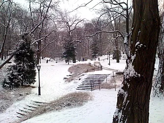 Rented by Alfred Real Estate Inc