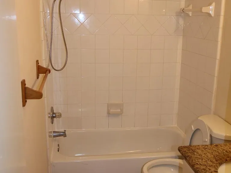 18414 Willow Moss Dr — Photo 10