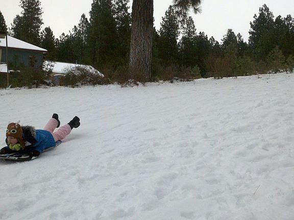 Sledding hill in backyard