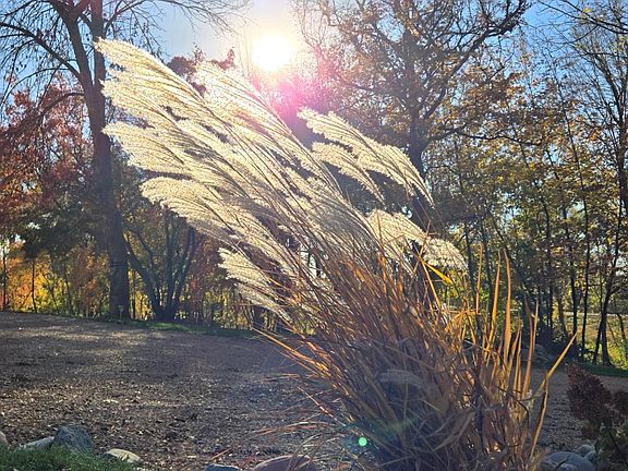 84th image of this home