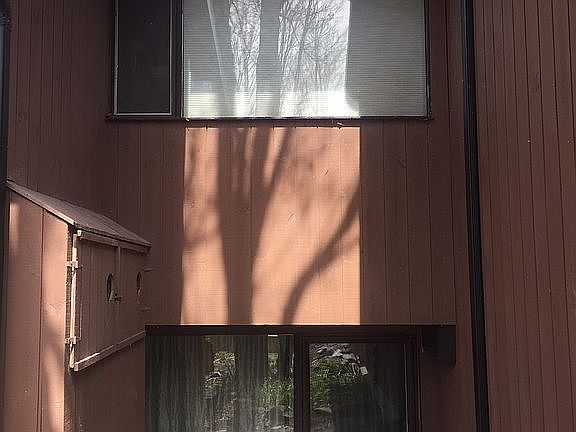 Kitchen and bedroom window