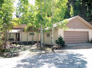 246 Moss Ln, Dumont, CO 80436