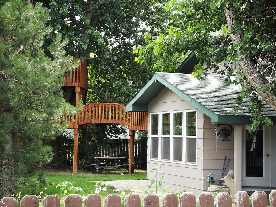 Backyard & treehouse