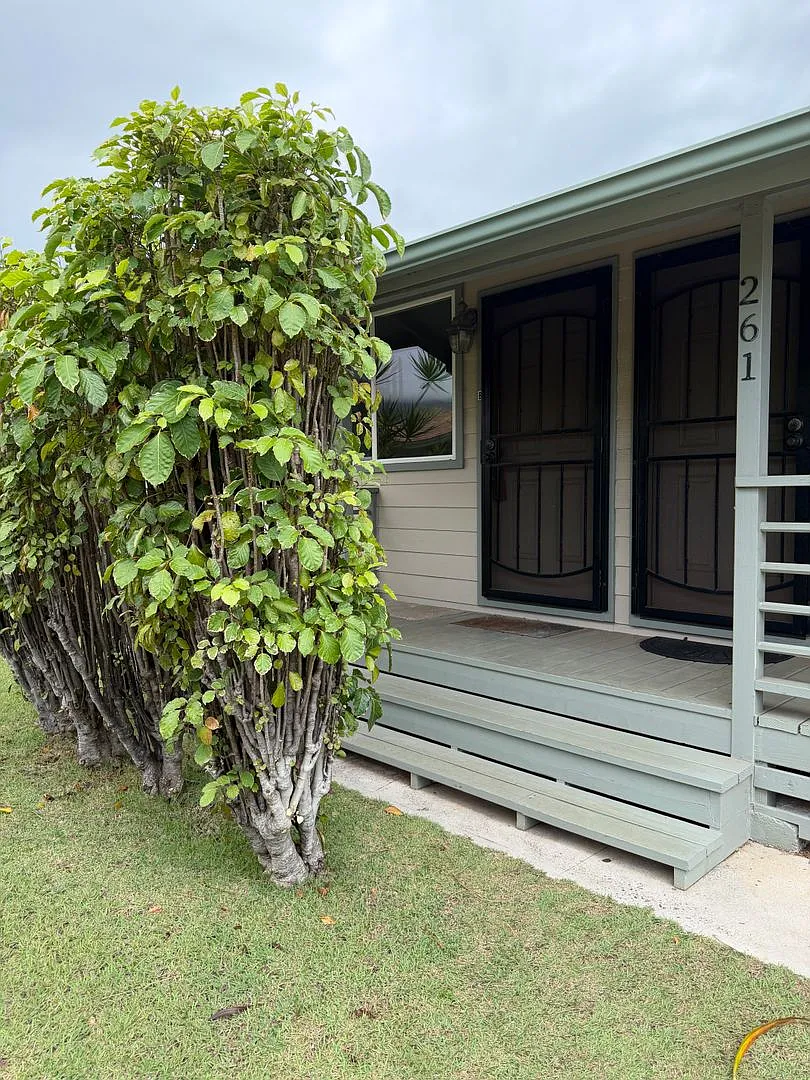261 Naniloa Drive — Photo 2