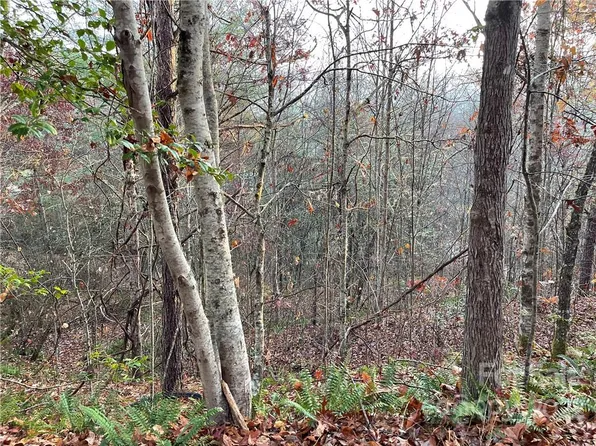 43 S Kimiko Ln, Balsam Grove, NC 28708