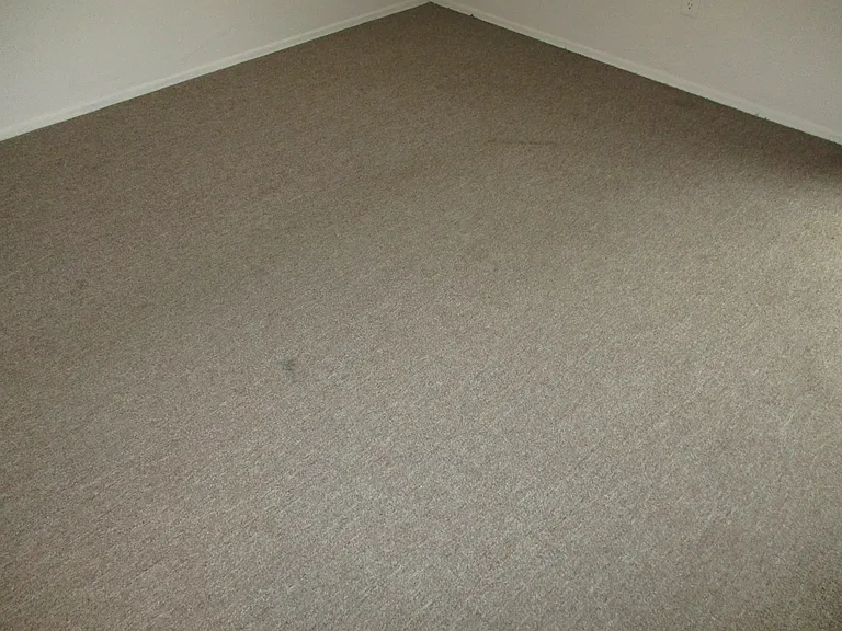443 Flower St #A — Photo 20