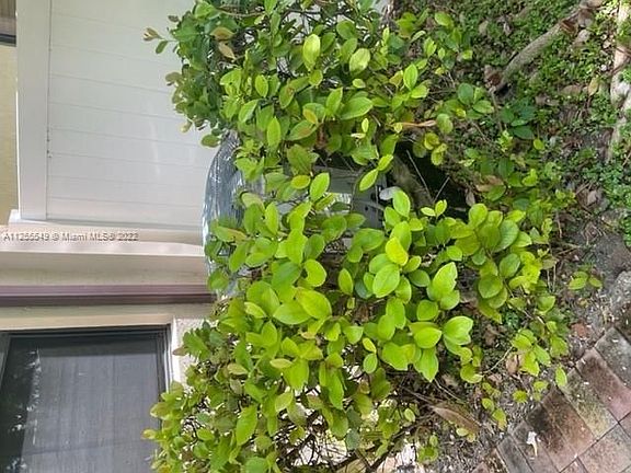5th image of 4626 NW 58th St