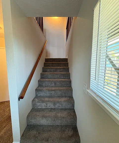 3201 Star Ave — Photo 13