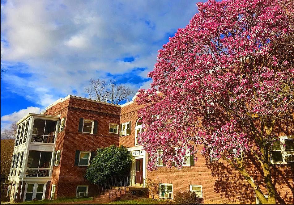 1st image of 605 N Irving St APT 5