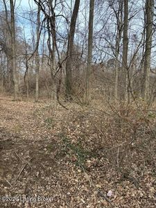 841 Fountain Ave, Louisville, KY, 40222