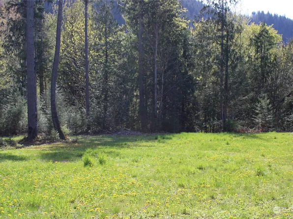 60 Wilderness Drive, Concrete, WA 98237