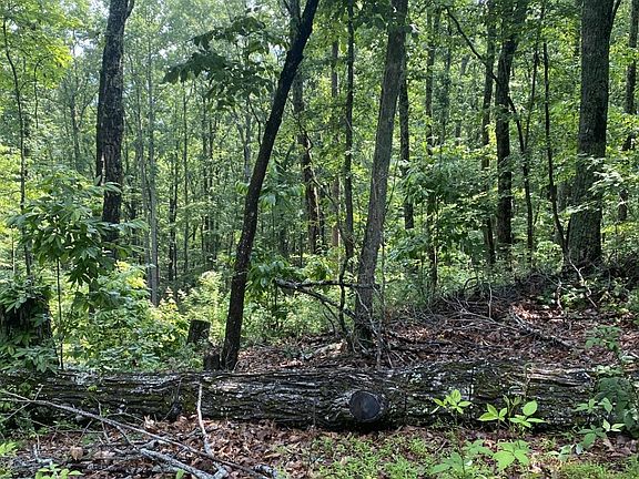 4th image of 0 Cobb Mountain Cir