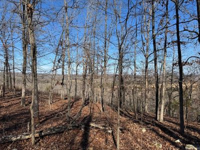 60B Tablerock Rd, Evening Shade, AR, 72532