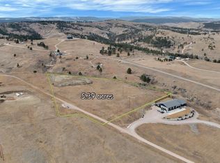 4864 Blackstone Ct, Piedmont, SD 57769