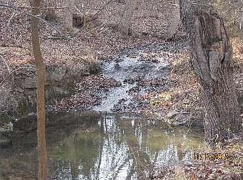 3rd image of 13440 Tuttle Creek Blvd