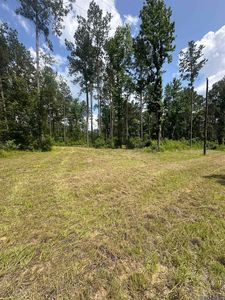 9139 Peterson Rd, Saint Francisville, LA, 70775