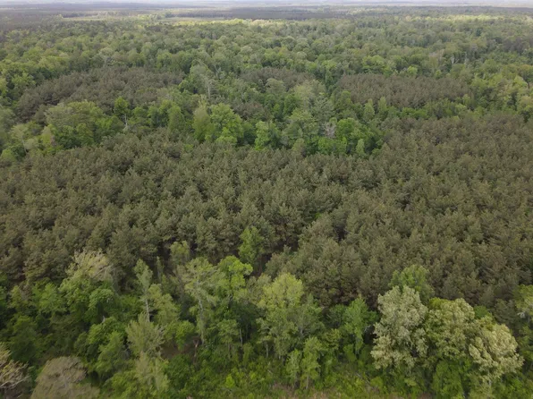 (undisclosed Address), Hamburg, AR 71646