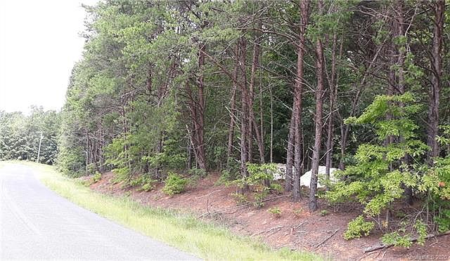 2nd image of 0 Morton Rd