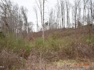 LOT 3 Maple Grove Rd, Ten Mile, TN 37880