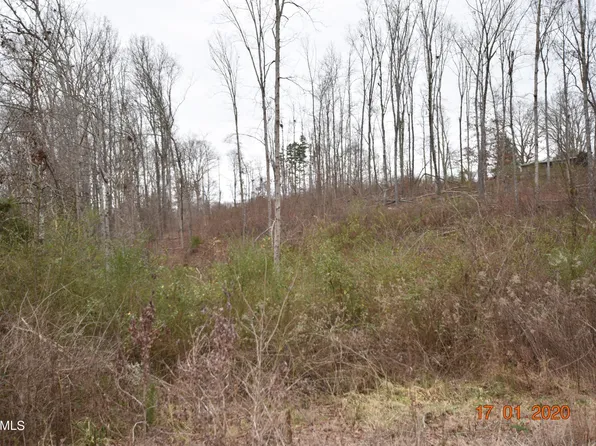 LOT 3 Maple Grove Rd, Ten Mile, TN 37880