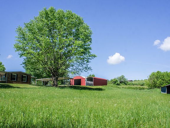 Six Huge Maple Trees