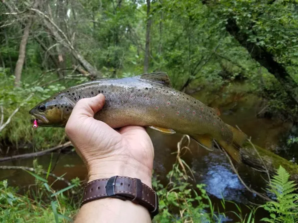 924 County Road J #3, Adams, WI 53910