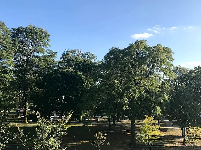 Solstice on the Park — Photo 133