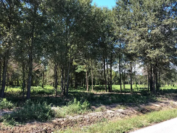 7 L Anse Meg Rd, Mamou, LA 70554