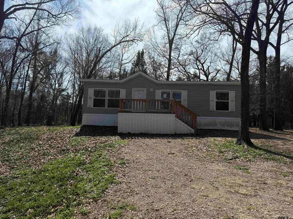 3120 County Road 4503, Ben Wheeler, TX 75754