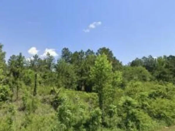 LOT 6 Tinker Creek Rd, Williston, SC 29853