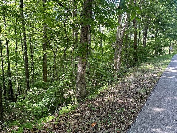 5th image of Hiwassee View Dr Lot 56