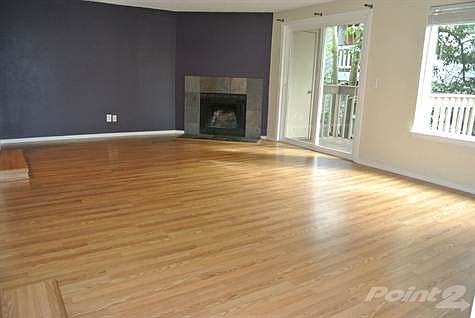 Living Room with Fireplace