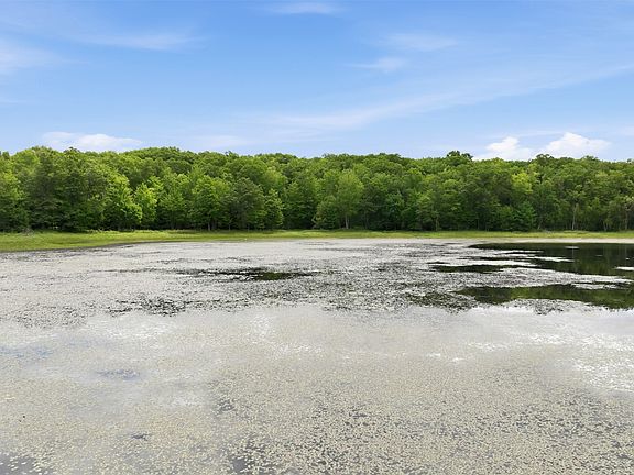 3rd image of 0 Goose Lake