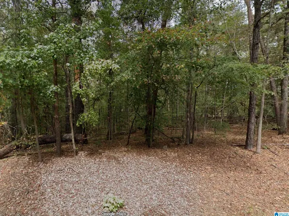 15001 Lock 17 Rd #6.435, Adger, AL 35006