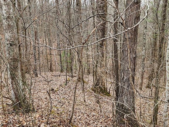 5th image of 2225 King Hollow Rd