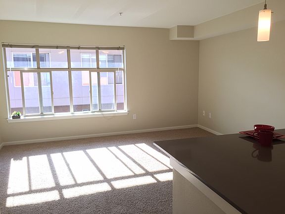 Large, bright window letting in natural light