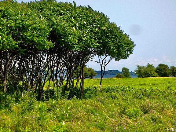 5th image of 3939 Carleton Island Rd #2