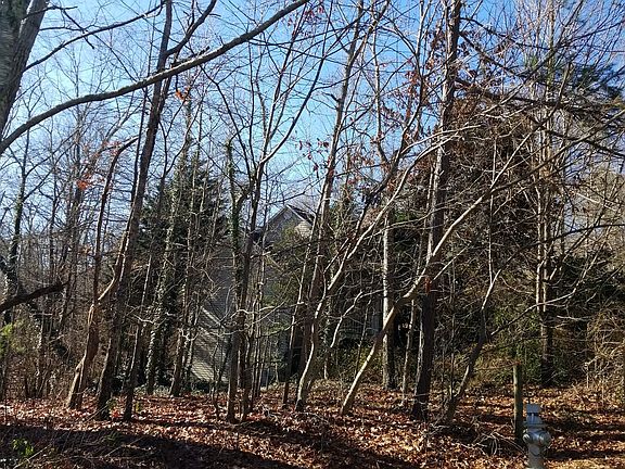 3rd image of 175 Tall Oaks Dr