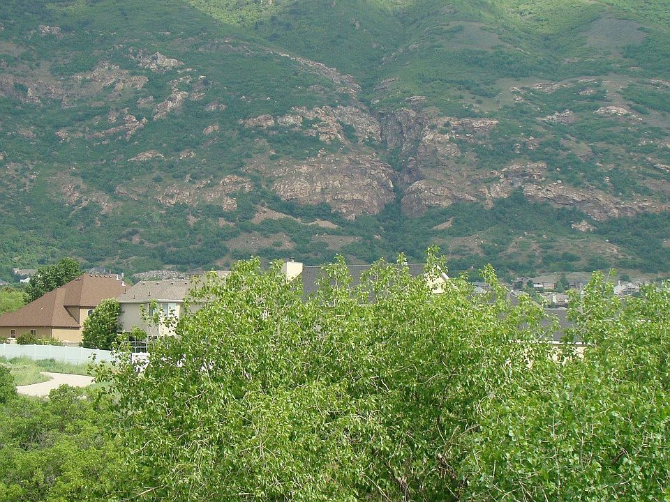 View View View