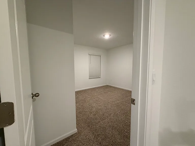 4453 White Ibis Ln — Photo 34