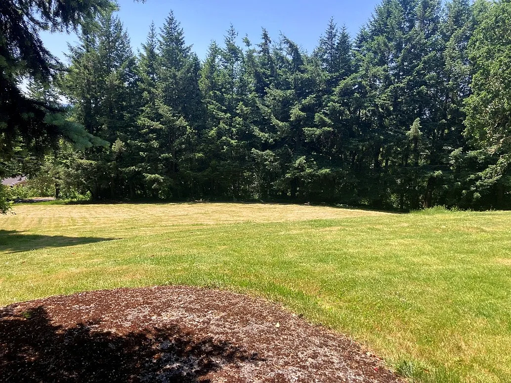 2 bed, 1196 sqft, $2,465 — Photo 2