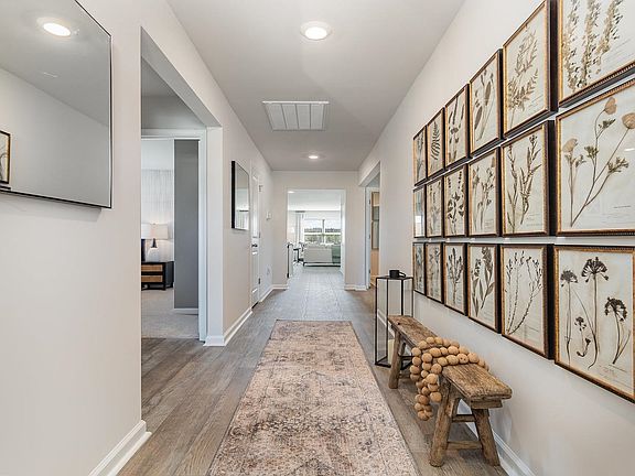 3rd image of 331 Ridley St