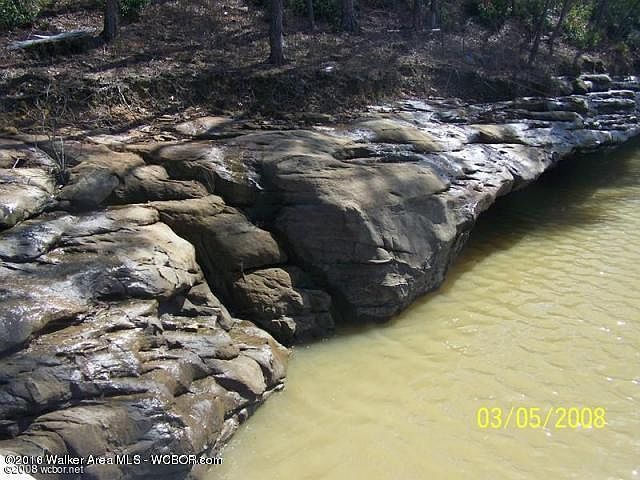 2nd image of 15 Bear Branch Pl