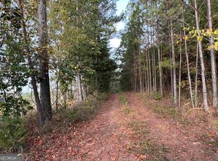 0 Big Ditch Rd, Adairsville, GA 30103